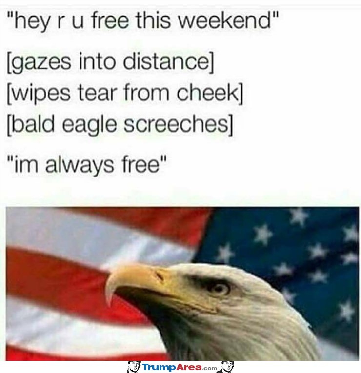 Are You Free This Weekend