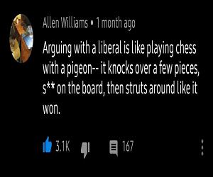 Arguing With Liberals