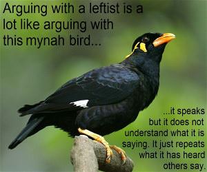 Arguing With Liberals