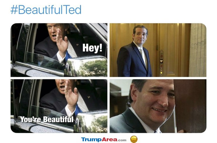 Beautiful Ted