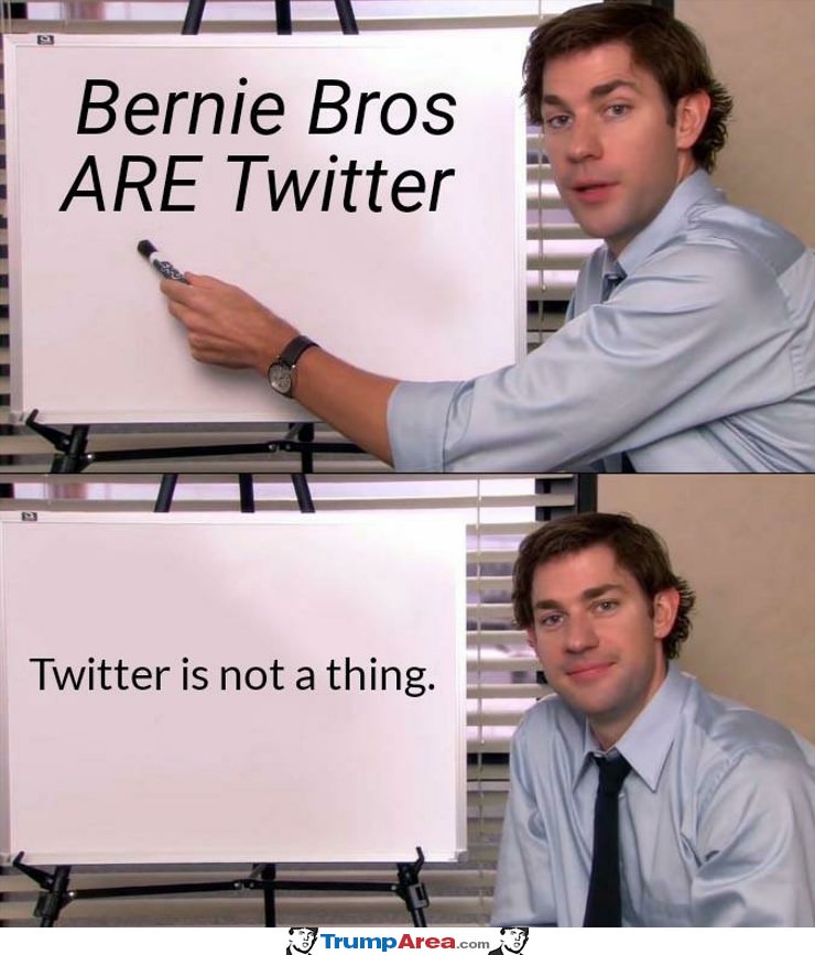 Bernie Bros