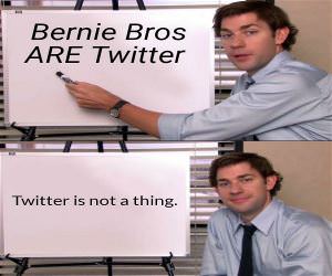 Bernie Bros