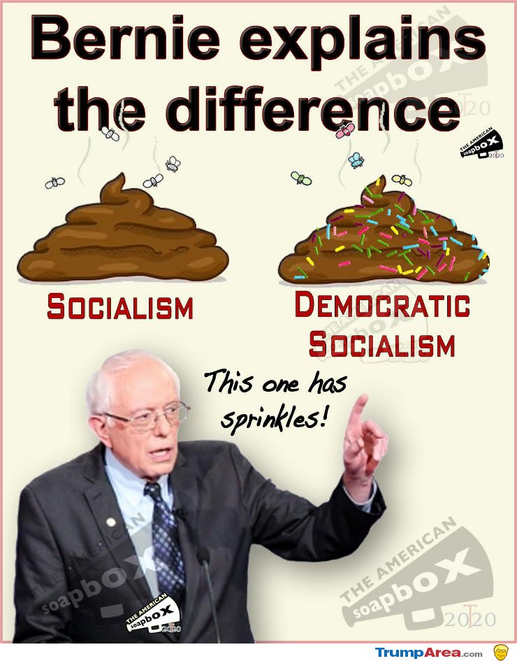 Bernie Explains It All