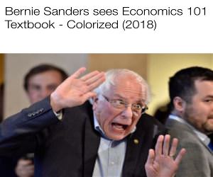 Bernie Sees An Economics Textbook