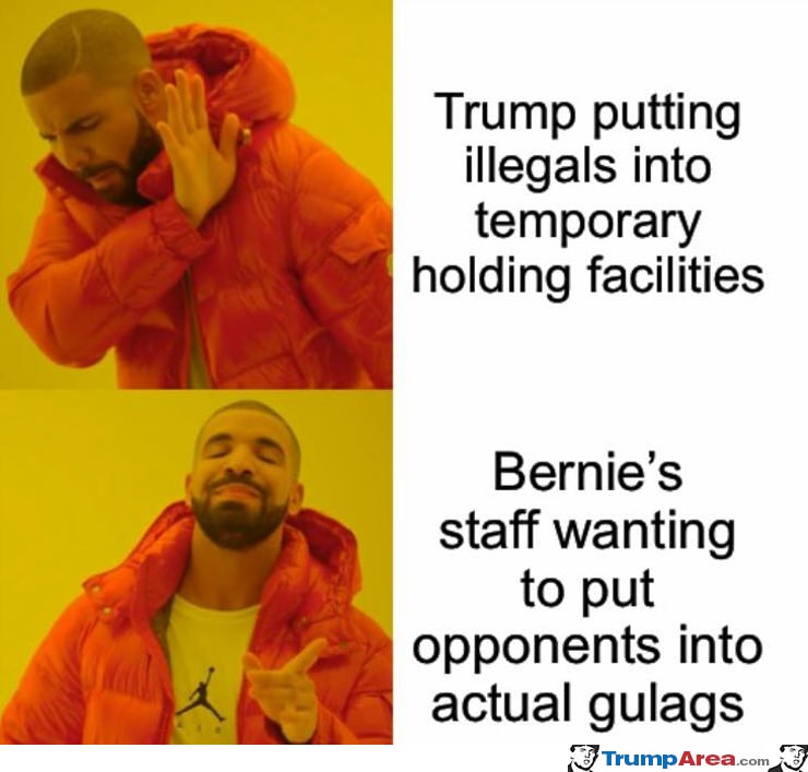 Bernie Supporters