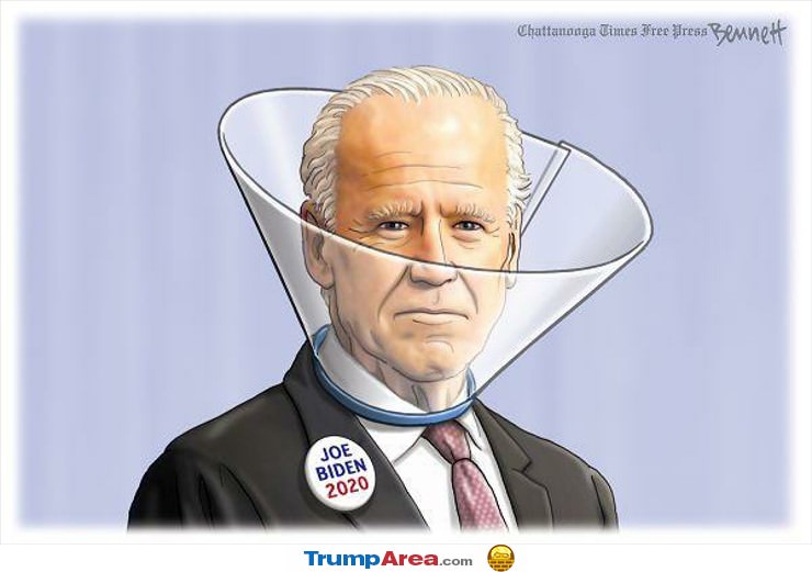 Biden 2020