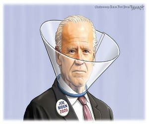 Biden 2020