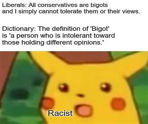 Bigots