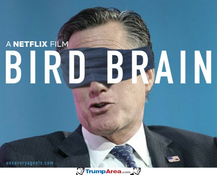 Bird Brain