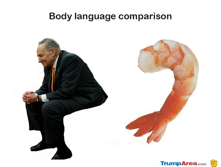 Body Language Comparison.