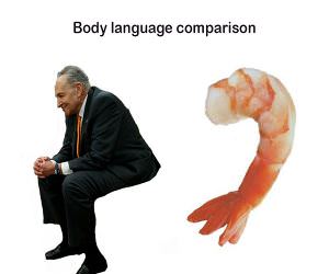 Body Language Comparison