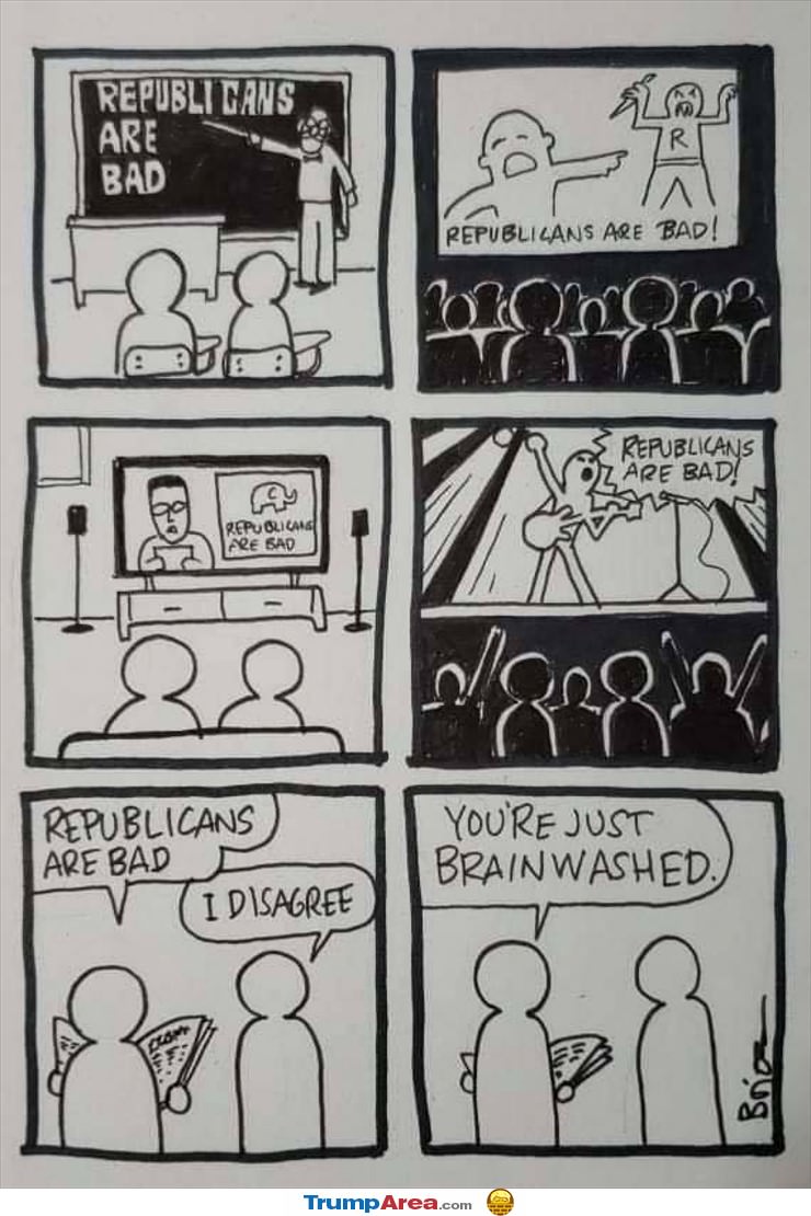 Brainwashed
