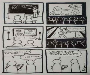 Brainwashed