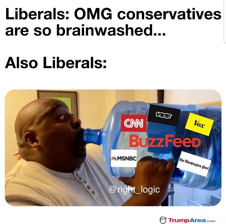 Brainwashed