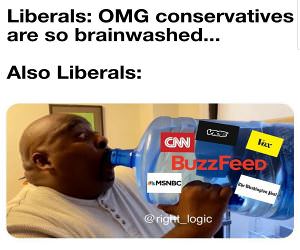 Brainwashed