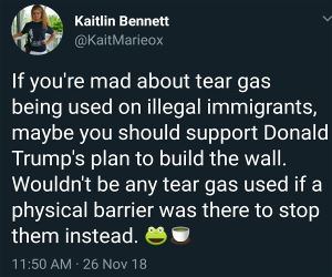 Build That Wall