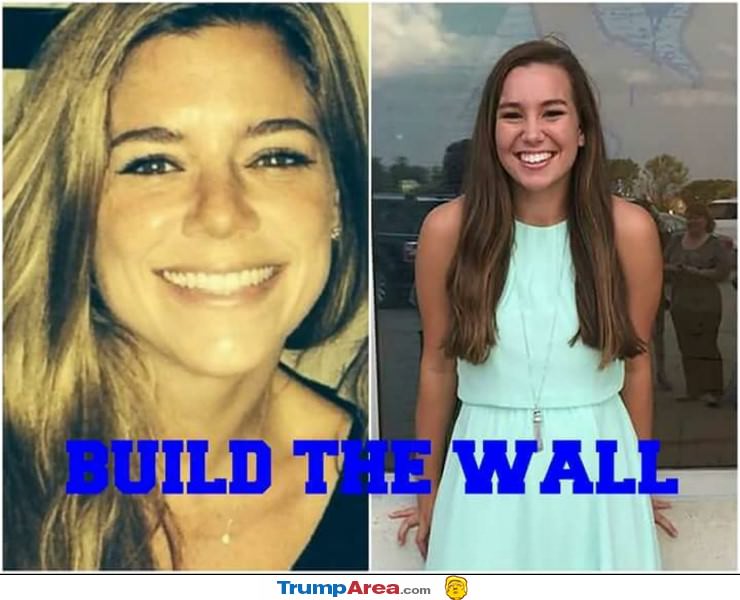 Build The Wall