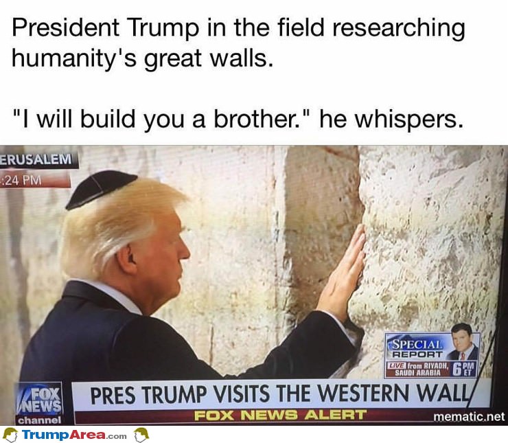 Build You A Brother