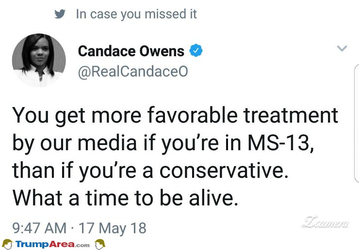 Candace Owens Is On Fire