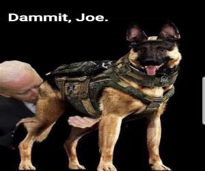 Contain Yourself Joe