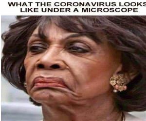 Corona Virus