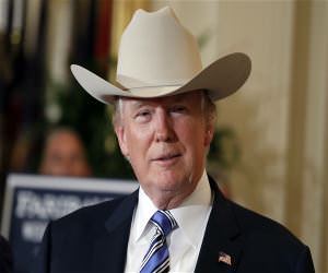 Cowboy