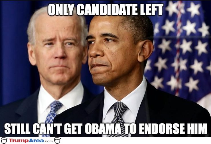 Crickets