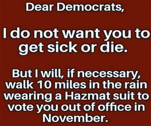 Dear Democrats