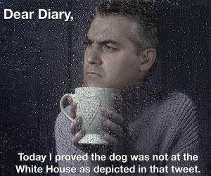 Dear Diary