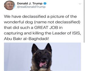 Declassified Picture