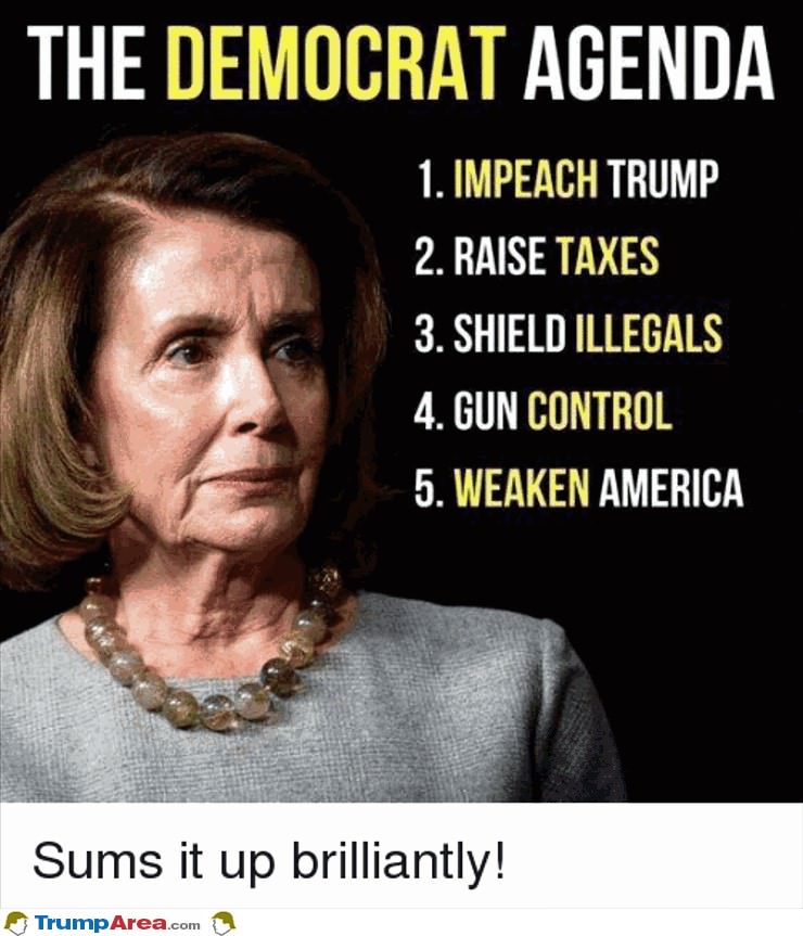 Democrat Agenda