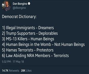 Democrat Dictionary
