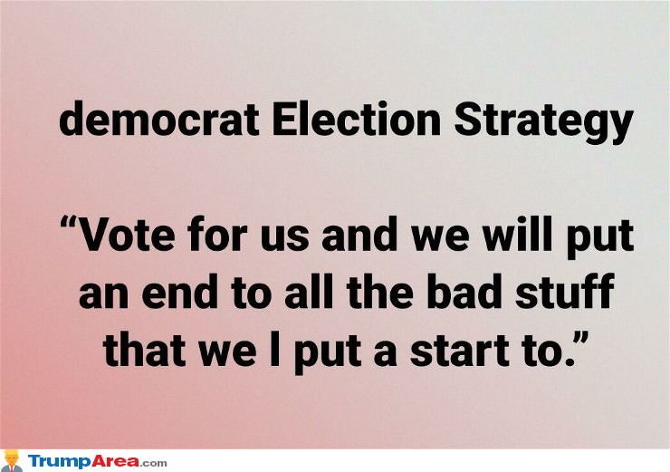 Democrat Election Strategy