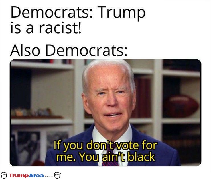 Democrat Logic