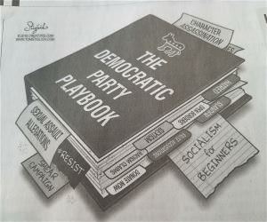 Democratic  Playbook