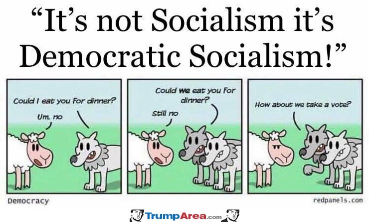 Democratic Socialism