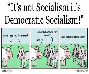 Democratic Socialism