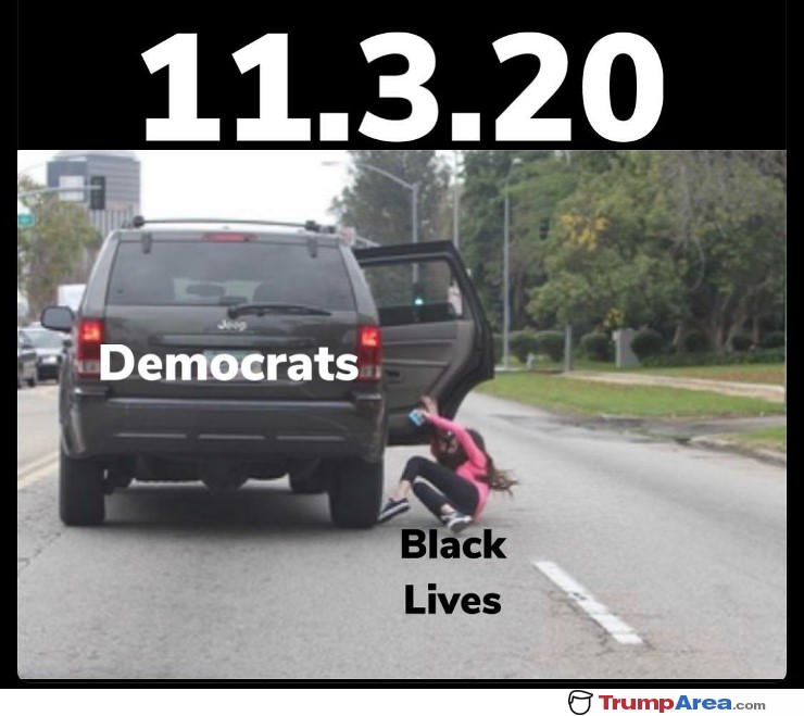 Democrats After The Election