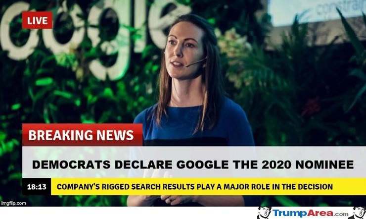 Democrats Declare Google The
