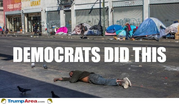 Democrats Did This