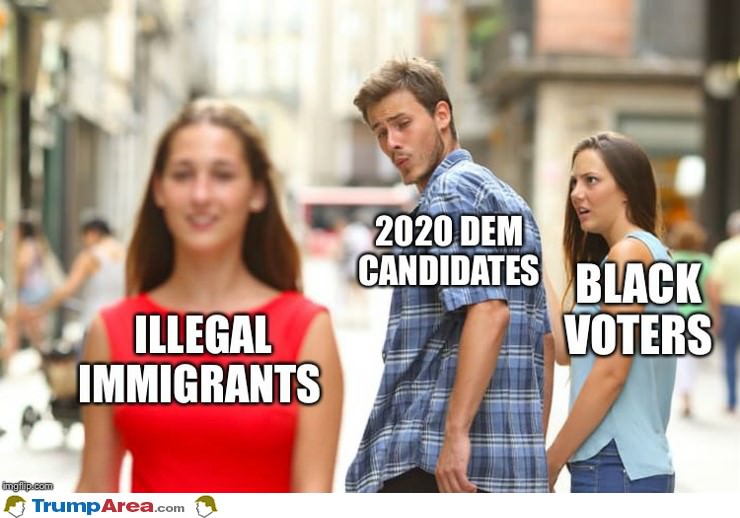 Democrats In 2020