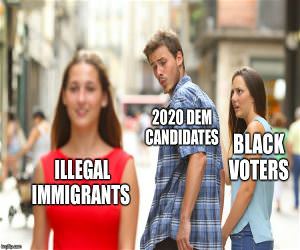 Democrats In 2020