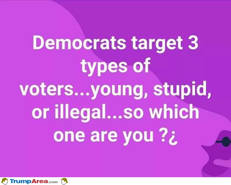 Democrats Target 3 Types Of Voters