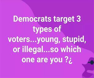 Democrats Target 3 Types Of Voters