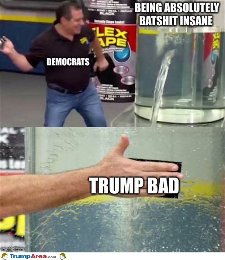 Democrats This Year