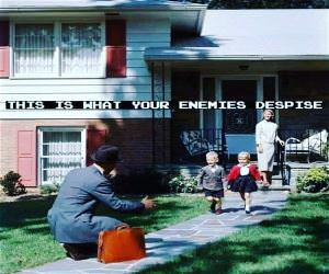 Despise
