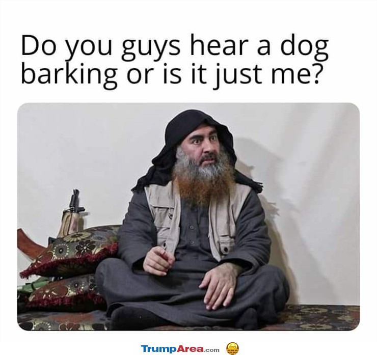 Did You Hear A Dog Barking