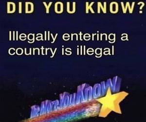Did You Know