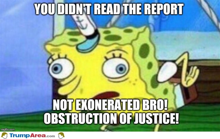 Did You Read The Report