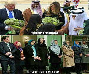 Different Kinds Of Feminism